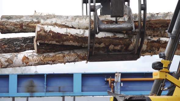 Loading Equipment for Logging. Log Loader for Timber, Logs. The Log Loader Moves a Stack of Pine