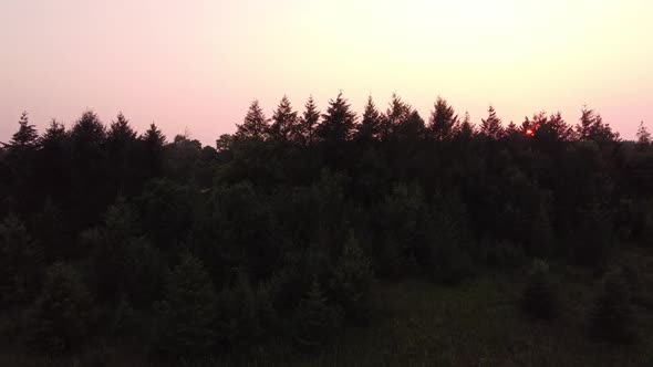 Beautiful Pink Sky And Golden Sunset At A Field Surrounded With Green Forest. ascending drone shot