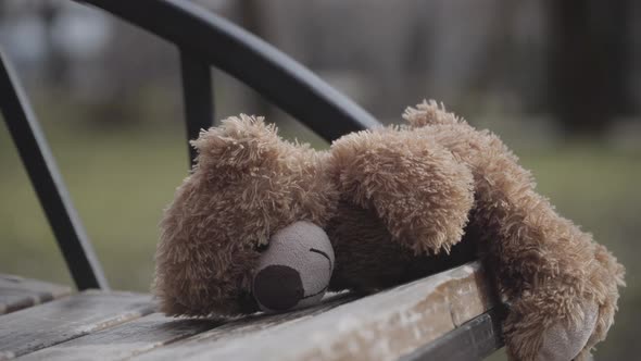 Close-up of Teddy Bear Lying on Wooden Bench in City Park. Lost Toy Outdoors. Concept of Loneliness