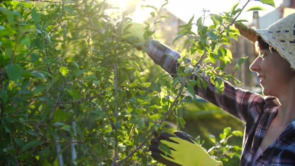 Concept of Hobbies and Country Life. Young Woman Caring for Trees in Her Garden