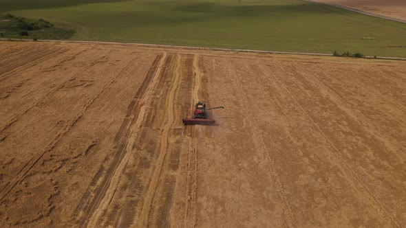 Combine Harvester Working In The Field.