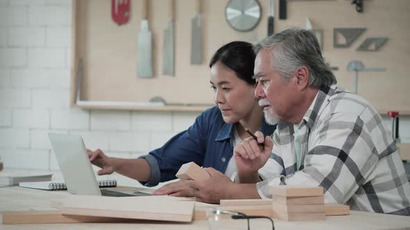 Senior man and woman working with laptop