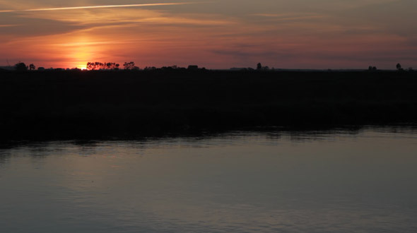 Creek at Sunset II