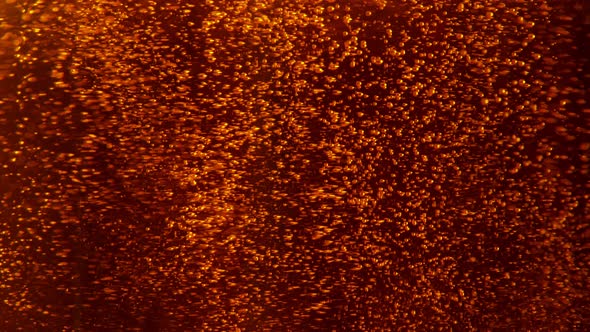 Super Slow Motion Shot of Dark Beer Bubbles Background at 1000Fps