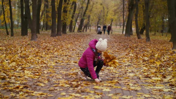 Child Arranging Bouquet of Fallen Maple Leaves