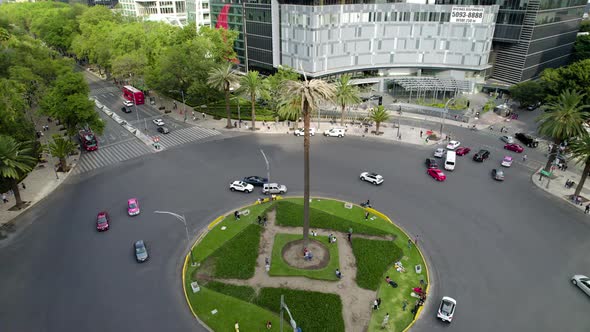 Drone shot of dry palm in the middle of Paseo de la reforma in Mexico city