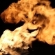 Flame 2 - VideoHive Item for Sale