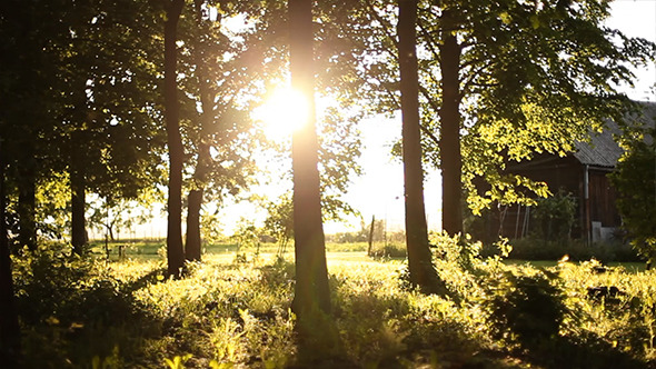 Sliding Around Trees 2