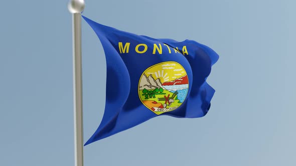 Montana flag on flagpole.