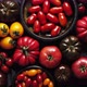 Various Kinds of Tomatoes Placed on Dark Rusty Table - VideoHive Item for Sale