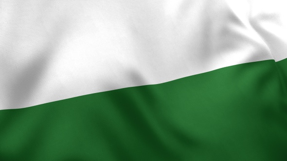 Saxony Flag