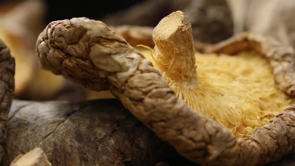 Group of dried whole shiitake mushrooms close up full frame