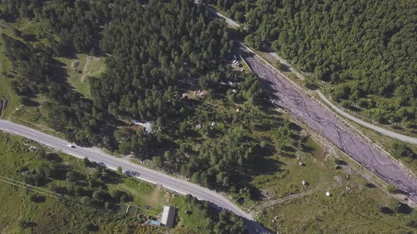 Rural road and forest in summer