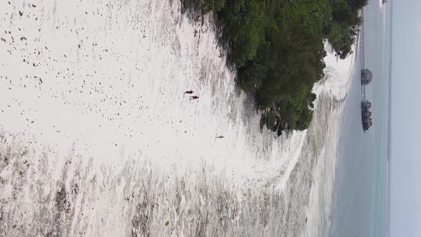 Zanzibar Tanzania  Vertical Video of the Ocean Near the Coast Slow Motion