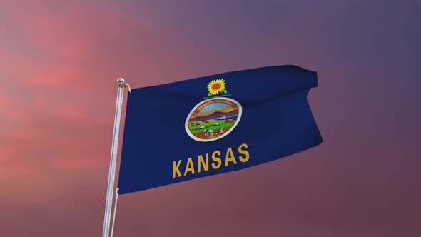 Flag Of Kansas Waving 4k