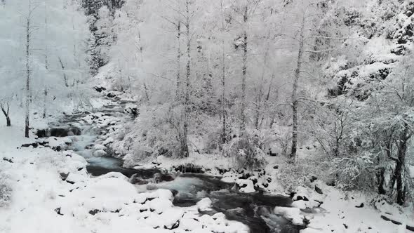 River in the Winter Snow Forest in the Mountains