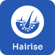 Hairise - Hair Transplantation and Removal WordPress Theme - ThemeForest Item for Sale