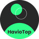 HavioTop - Online Recharge & Payment Platform - CodeCanyon Item for Sale