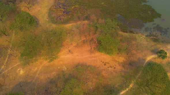 Aerial over rich colourful wetland, ponds, and green forest - Bangladesh