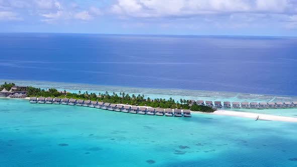 Drone aerial seascape of coastline beach wildlife by blue ocean and sand background