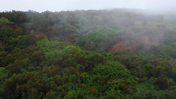 Flying Along the Slope of the Mountain at Cloud Level