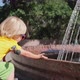 A child touches the water from the fountain with his hand - VideoHive Item for Sale