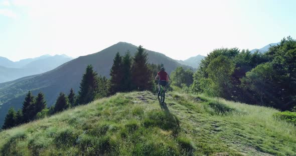 Biker Riding Mountain Bike Along Forest Trail Aerial View in Summer Sunny Day