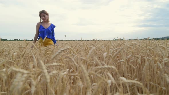 Beautiful Ukrainian Woman Wearing Dress in Ukrainian National Flag Colours Blue and Yellow at Wheat