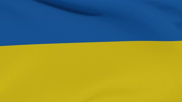 Flag Ukraine Patriotism National Freedom Seamless Loop