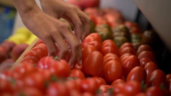 Female Farm Store Staff Placing Tomatoes on Shelf