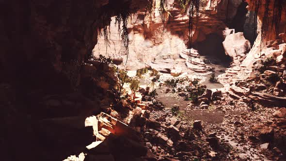 Cave in an Extinct Volcano Covered with Grass and Plants