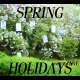 Spring Holidays - VideoHive Item for Sale
