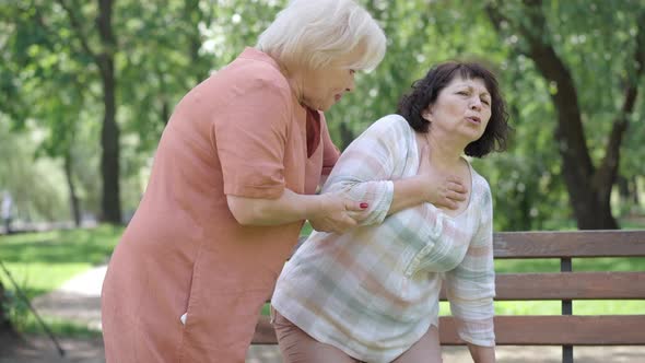Senior Caucasian Woman Walking Friend with Heart Attack To Bench in Summer Park. Worried Female