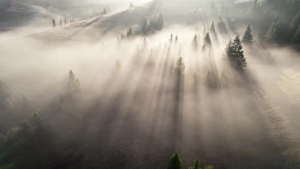 Aerial Shot of Sunny Foggy Morning in the Forest and Mountains