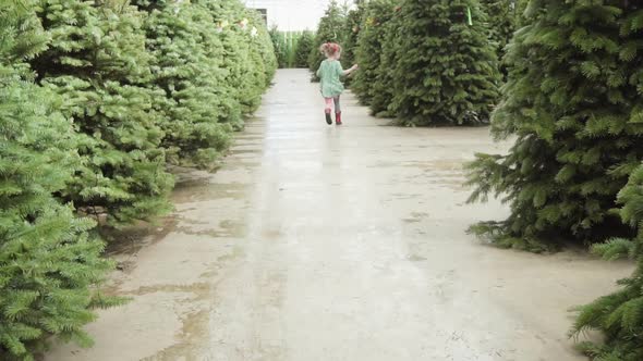 Slow motion. Little girl playing at the Christmas tree farm.