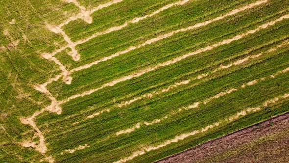 Aerial drone view of a flying over the rural agricultural landscape.