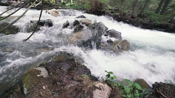 Mountain River with Rocks in Wood Slow Motion Footage Dolomites South Tyrol Italy