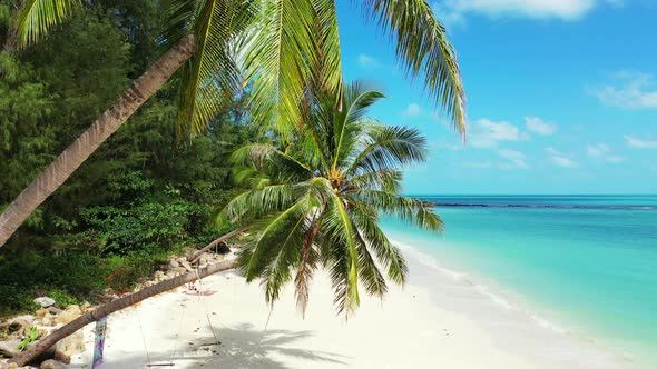 Paradise exotic beach with white sand under palm trees with leaves and coconut seeds on bright blue