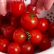Tomatoes - VideoHive Item for Sale