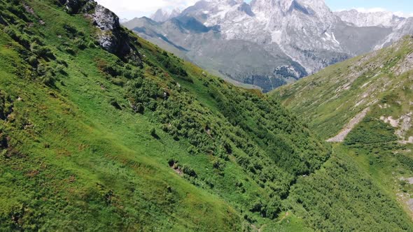 Drone view of alpine landscape in summer, Ploeckenpass, Austria