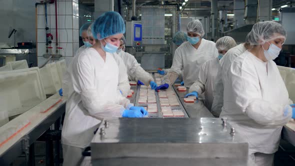 Female Technicians Are Relocating Crab Sticks. Factory Workers Assembling Products.