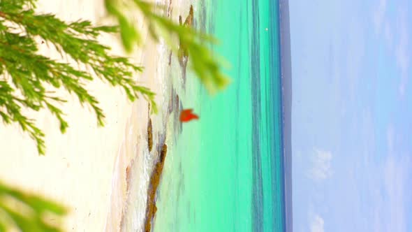 Red butterfly flies on empty white beach with turquoise sea in background. Vertical video format for