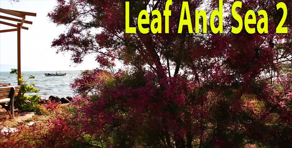 Leaf And Sea II
