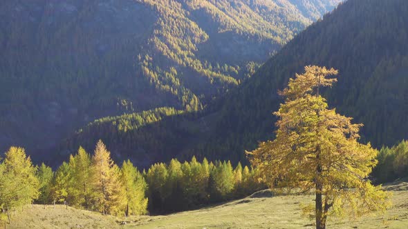 Beautiful Autumn European Alps 2