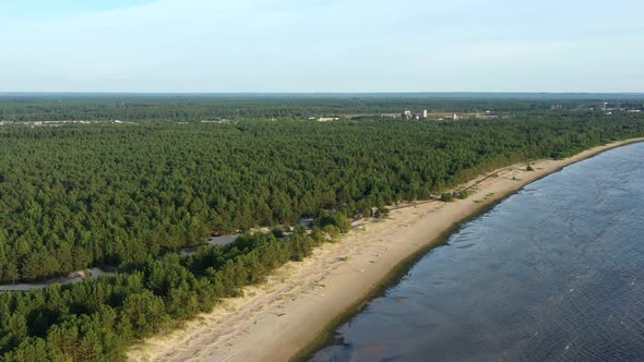 Gulf of Finland Coastline with Forest