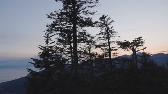 Colorful Sunset Over the Tree Top on the Mountain