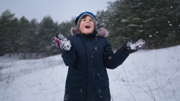 Portrait of Happy Little Boy Having Fun Playing Snowballs Standing Background of Trees in a Snowy