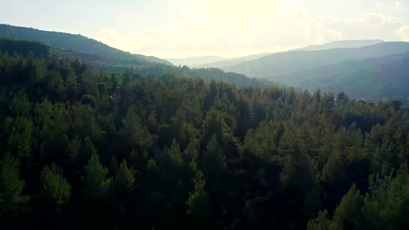 Lake Forest Mountains Field Water Green Summer View Sunset