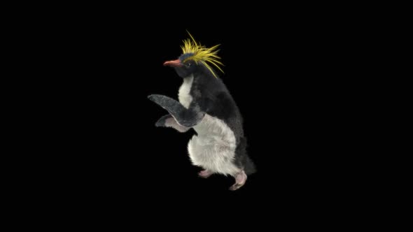 Penguin Dancing HD