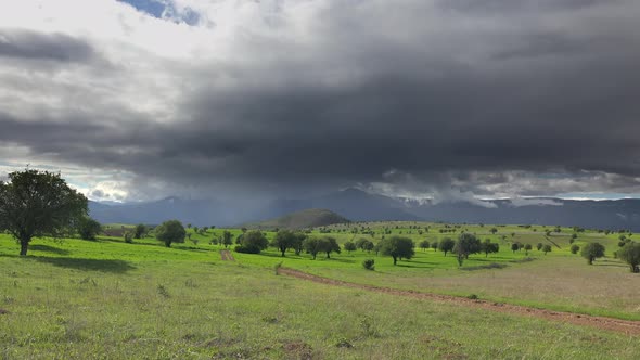 Green Fields With Trees and Cloudy Mountains in Moorland